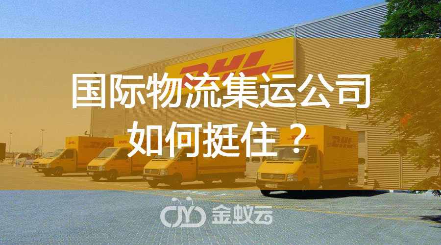 國(guó)際物流集運(yùn)公司如何挺??？