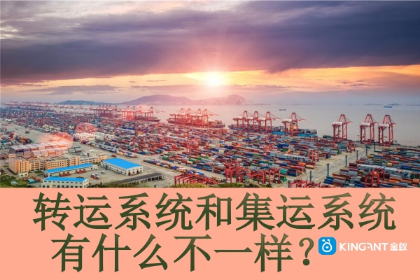 轉(zhuǎn)運(yùn)系統(tǒng)和集運(yùn)系統(tǒng)有什么不一樣？